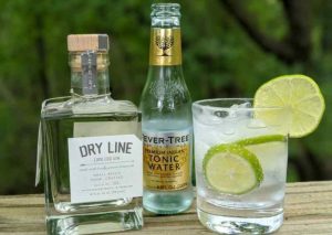 mixologist gin and tonic