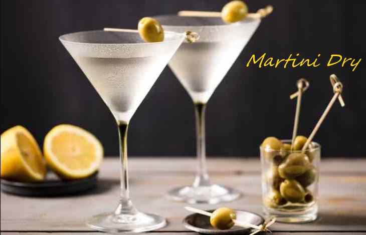 mixologist martini dry