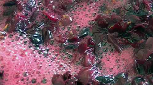 fermentazione tumultuosa del mosto d'uva