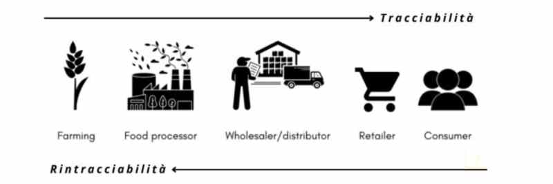 haccp sicurezza traccia rintraccia