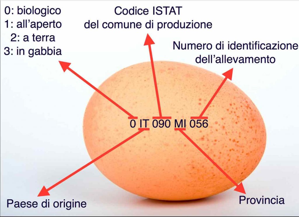 sicurezza alimentare uovo