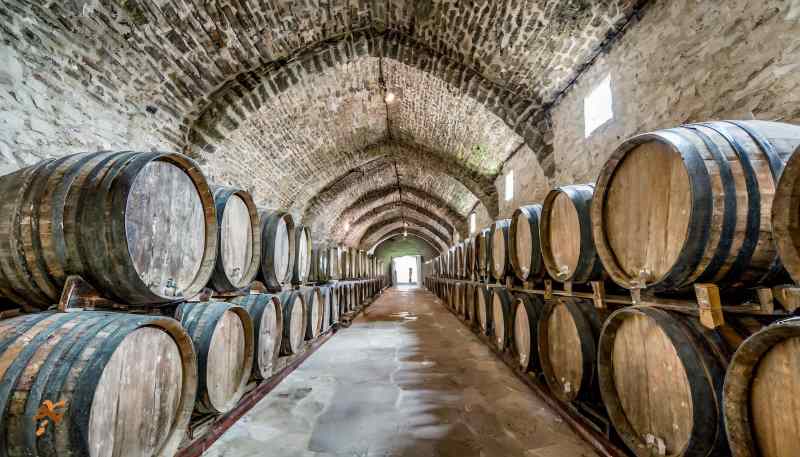 produzione vino  invecchiamento