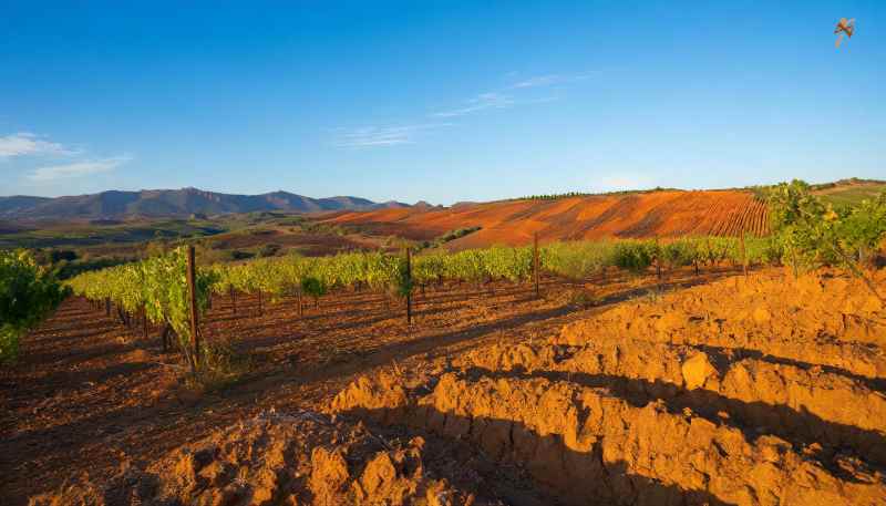 terroir terreno argilloso