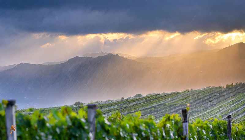 terroir clima pioggia