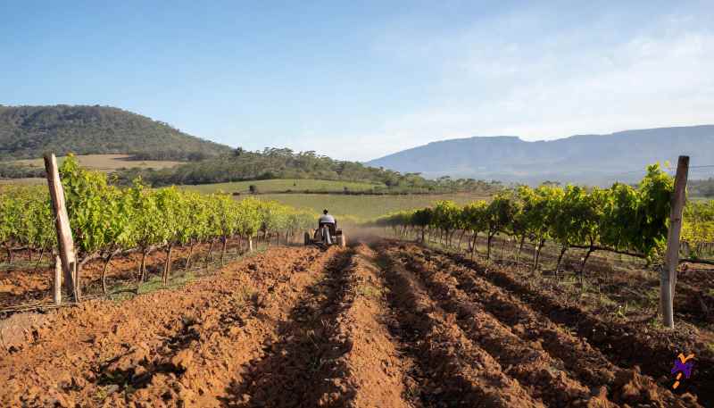terroir tecniche allevamento