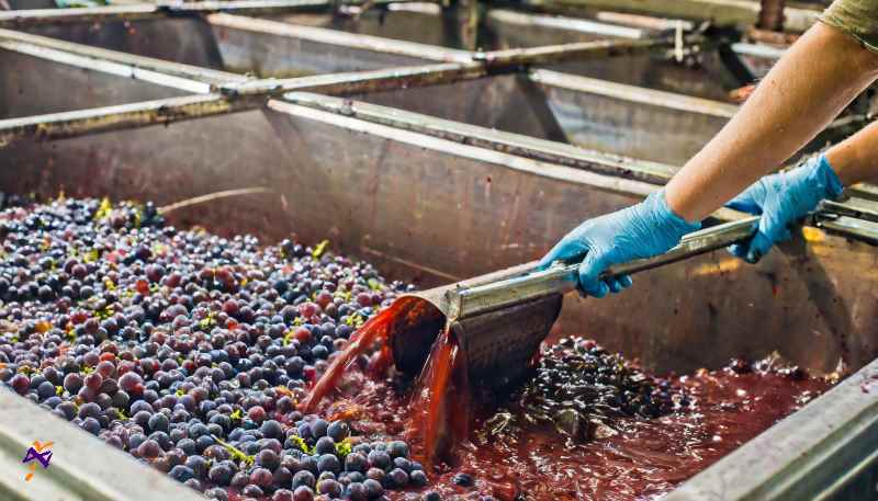 terroir tecniche produzione