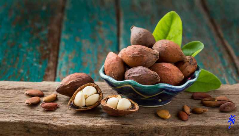 soft drinks cola nuts