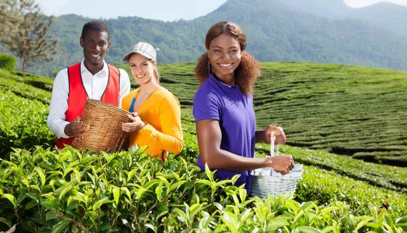 sostenibilità in ristorazione social