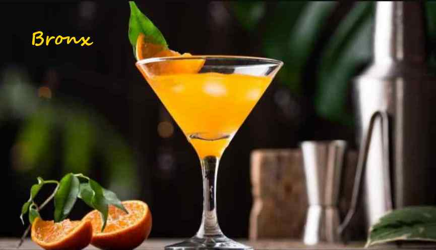 mixologist bronx
