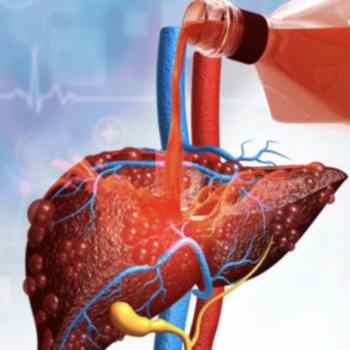 binging danni fegato