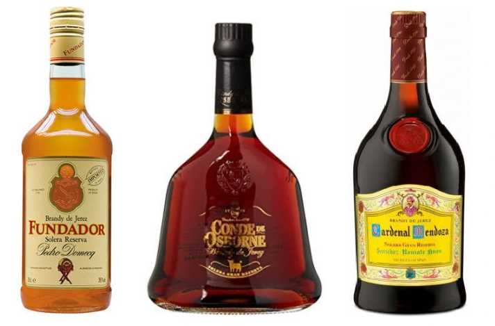 brandy spagnoli