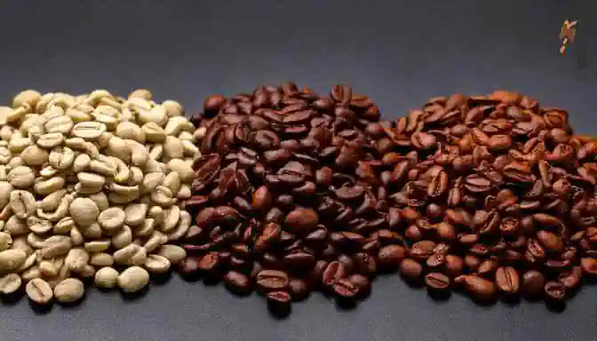 coffeemaker  chicchi caffè