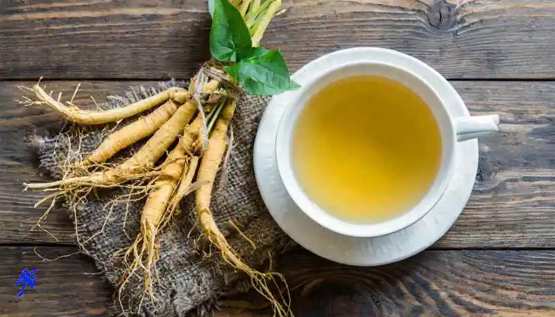 herbal tea ginseng