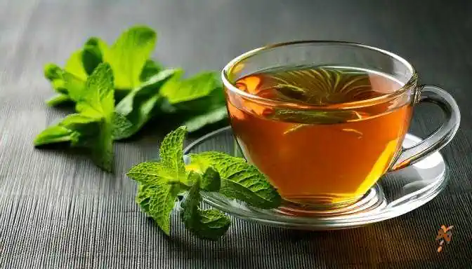 tisane menta