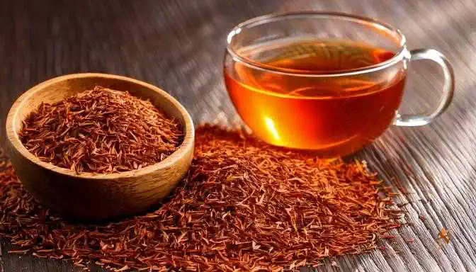 herbal tea roiboos