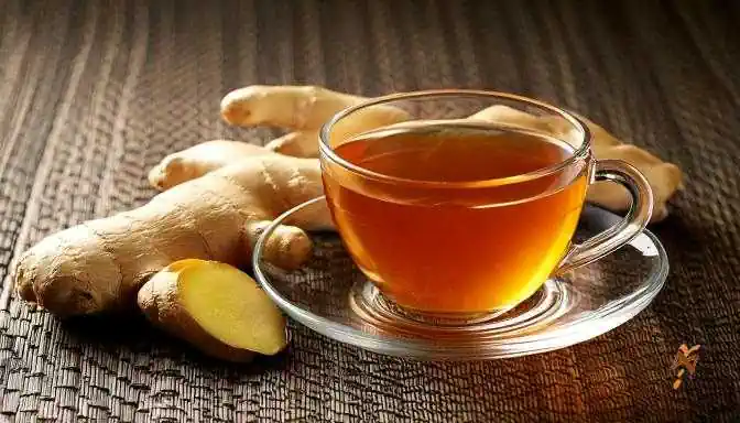 herbal tea zenzero