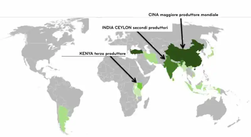 tea mappa produzione