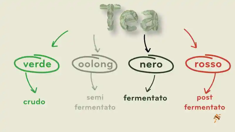tea tipologie produttive