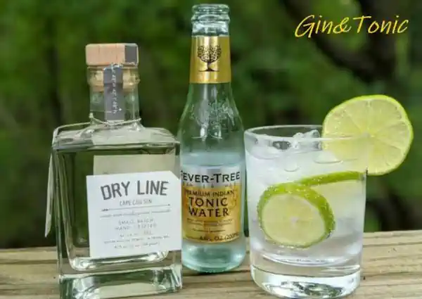 soft drinks gin tonic