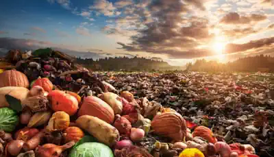 sostenibilità foodwaste