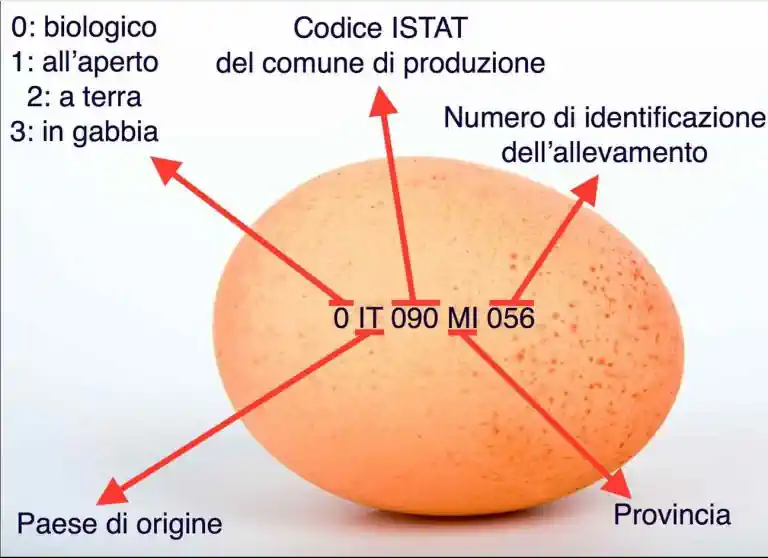 sicurezza alimentare uovo